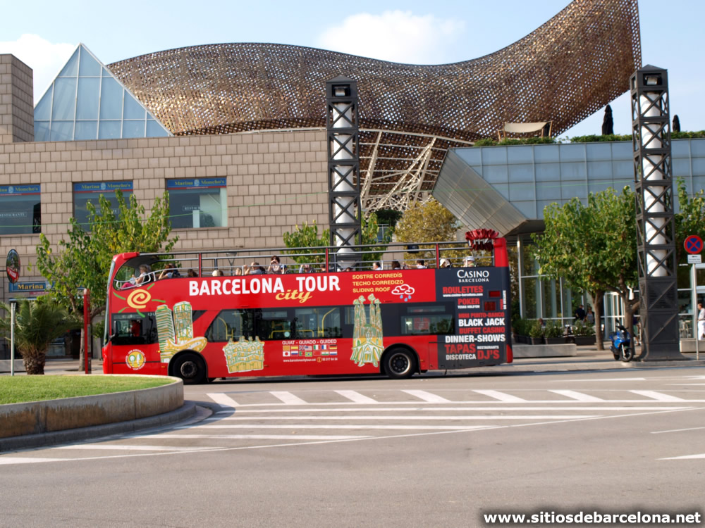 Download this Barcelona City Tour picture