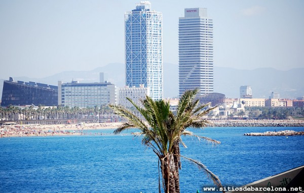 torre mapfre y su torre gemela hotel arts