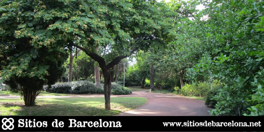 Jardines de Villa Amelia